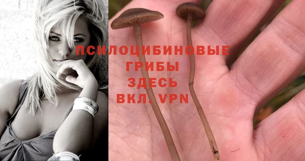 гидропоника Алзамай