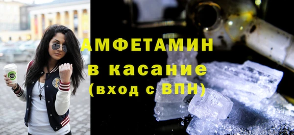 сатива Елабуга